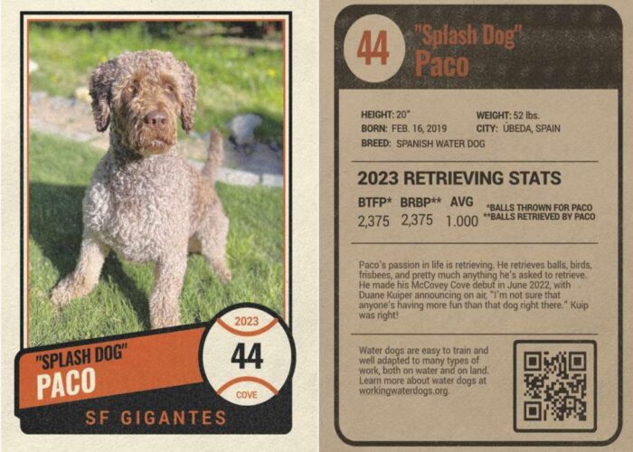 Front and back of baseball card featuring a retrieving dog.