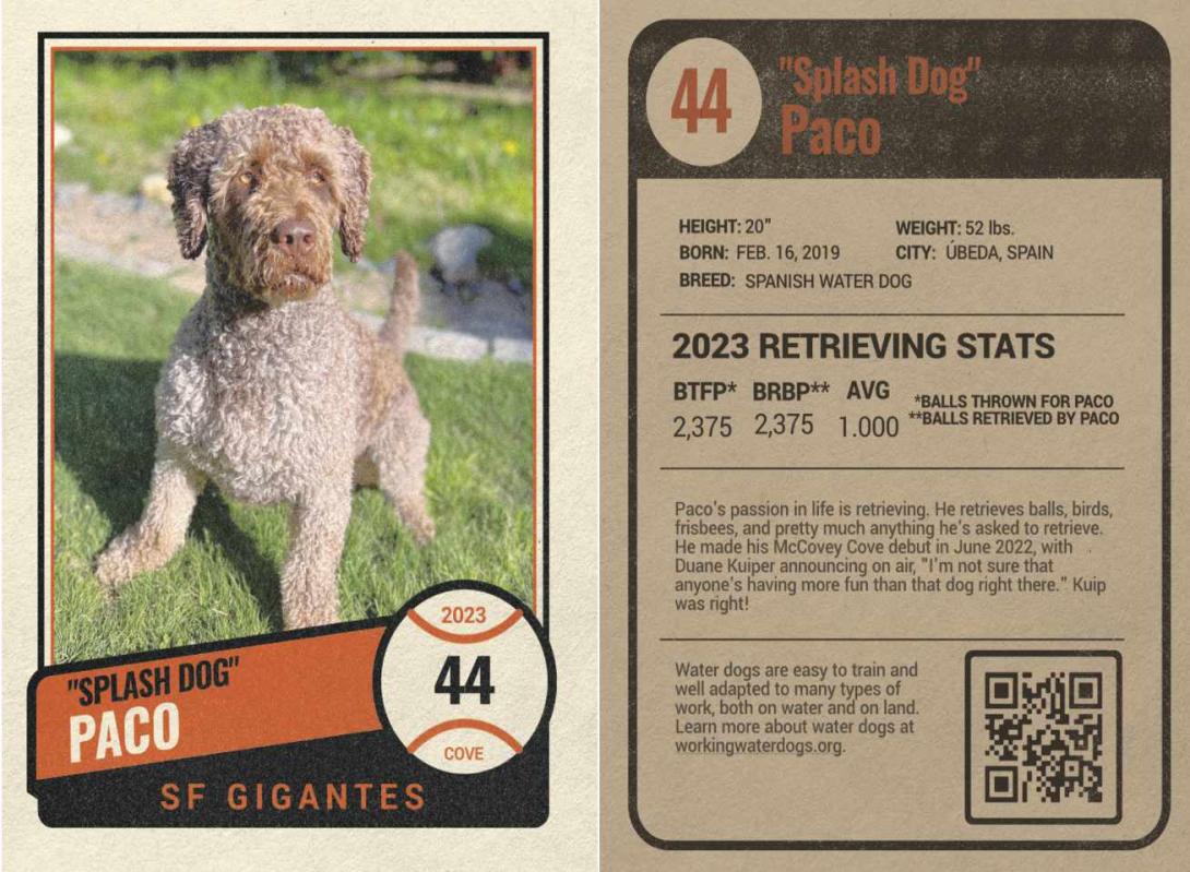 Front and back of baseball card featuring a retrieving dog.